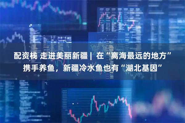 配资栈 走进美丽新疆 |  在“离海最远的地方”携手养鱼,新疆冷水鱼也有“湖北基因”