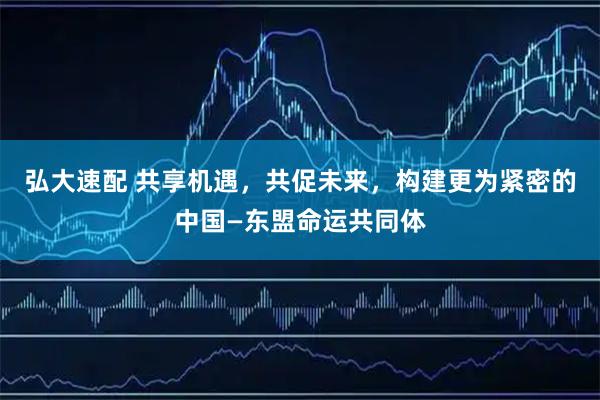 弘大速配 共享机遇,共促未来,构建更为紧密的中国—东盟命运共同体