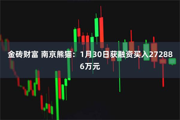 金砖财富 南京熊猫：1月30日获融资买入272886万元