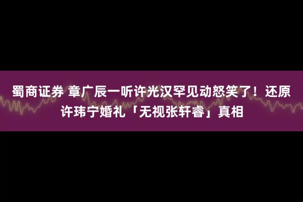 蜀商证券 章广辰一听许光汉罕见动怒笑了！还原许玮宁婚礼「无视张轩睿」真相