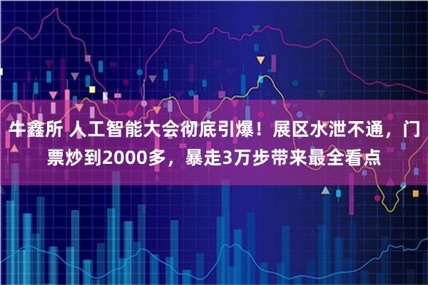 牛鑫所 人工智能大会彻底引爆！展区水泄不通，门票炒到2000多，暴走3万步带来最全看点